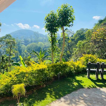 Ella Willow Cottage Dış mekan fotoğraf