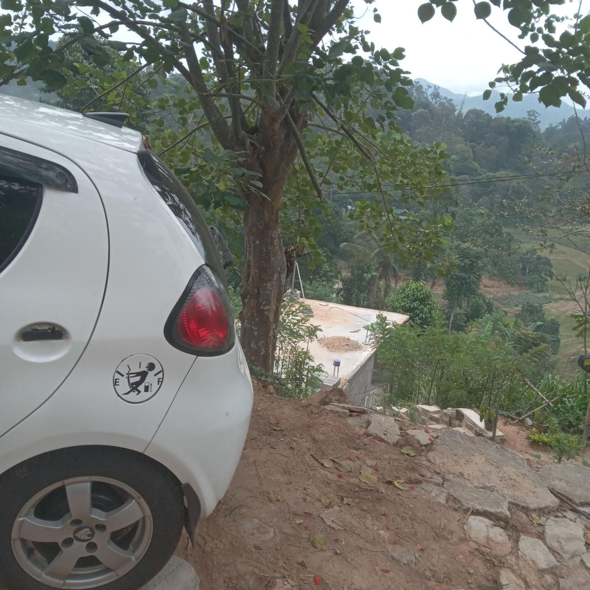 Ella Willow Cottage Dış mekan fotoğraf